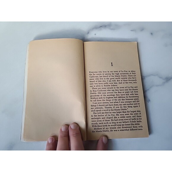 The Black Pearl By Scott O'Dell Paperback - Picture 5 of 10